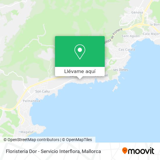 Mapa Floristeria Dor - Servicio Interflora