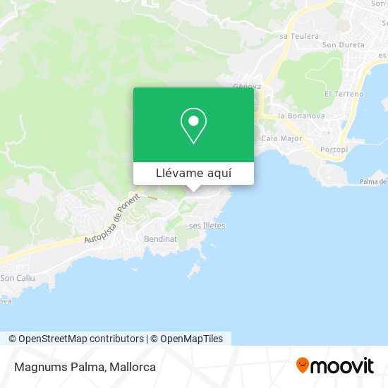 Mapa Magnums Palma