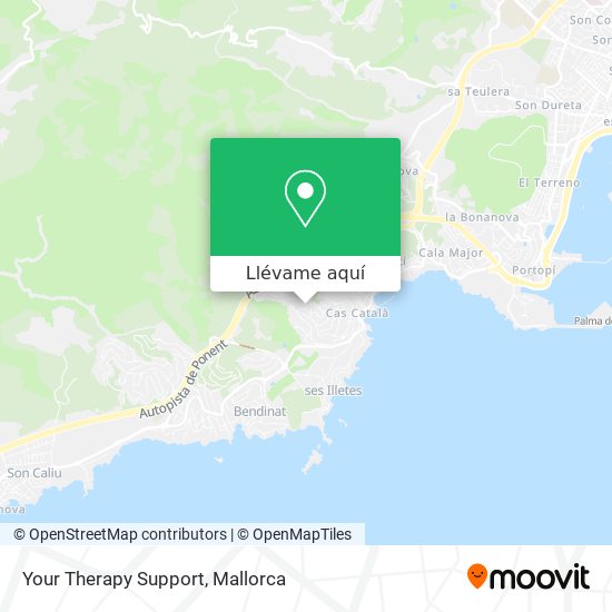 Mapa Your Therapy Support