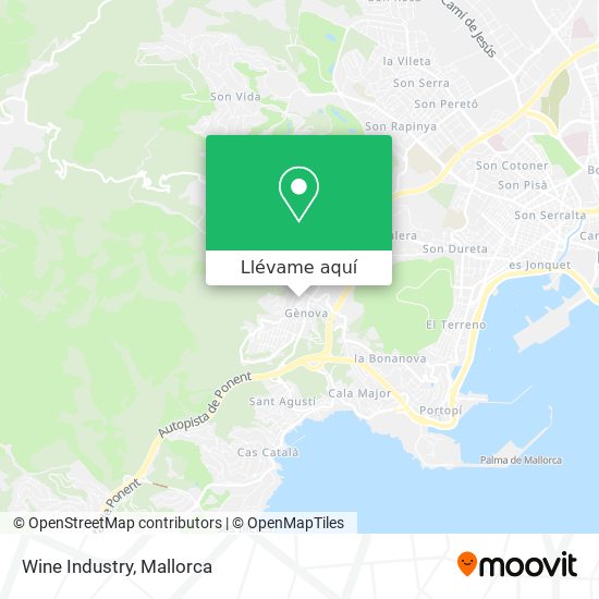 Mapa Wine Industry