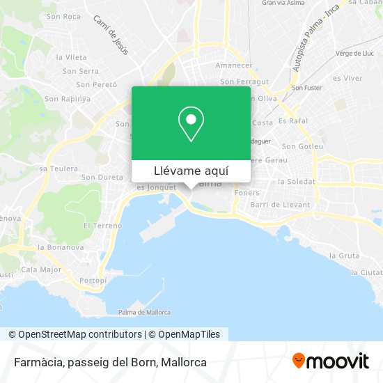 Mapa Farmàcia, passeig del Born
