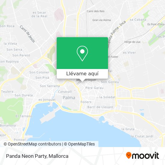 Mapa Panda Neon Party