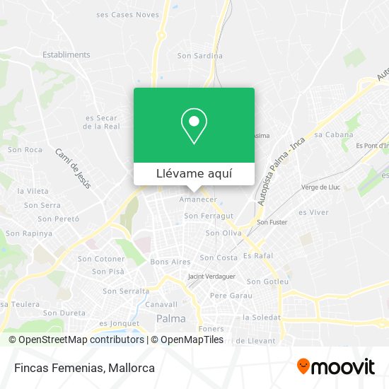 Mapa Fincas Femenias