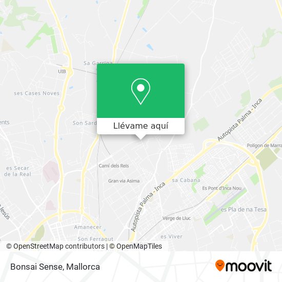Mapa Bonsai Sense