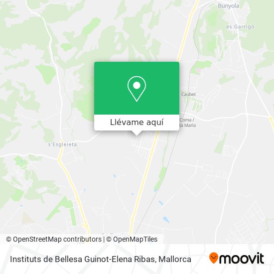 Mapa Instituts de Bellesa Guinot-Elena Ribas