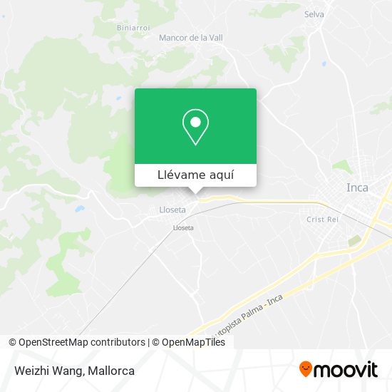 Mapa Weizhi Wang