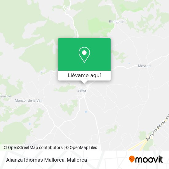 Mapa Alianza Idiomas Mallorca