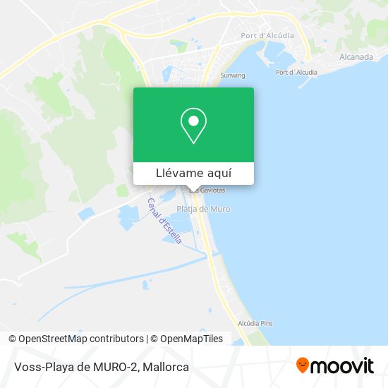Mapa Voss-Playa de MURO-2