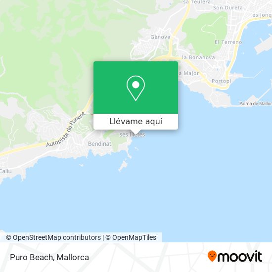 Mapa Puro Beach