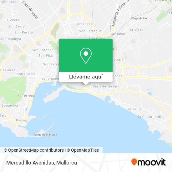 Mapa Mercadillo Avenidas