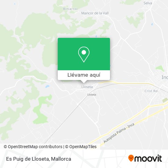 Mapa Es Puig de Lloseta