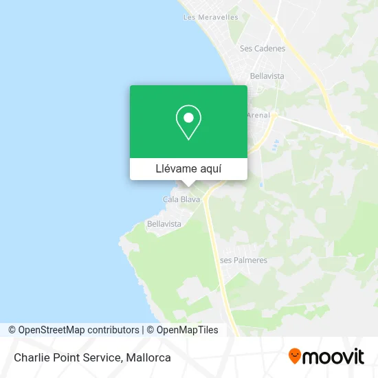 Mapa Charlie Point Service