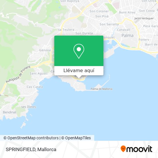 Mapa SPRINGFIELD