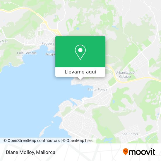 Mapa Diane Molloy