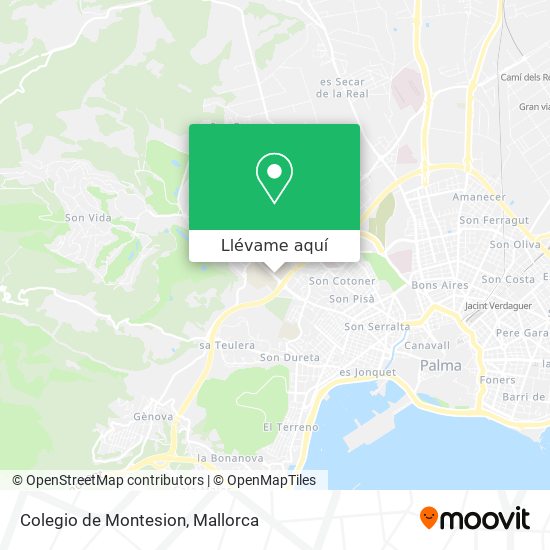 Mapa Colegio de Montesion