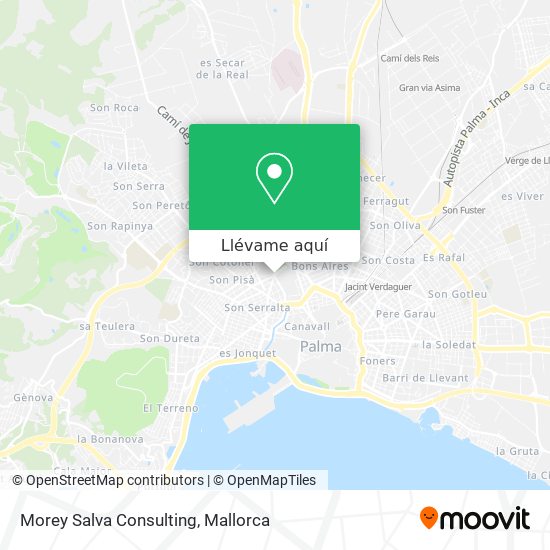 Mapa Morey Salva Consulting