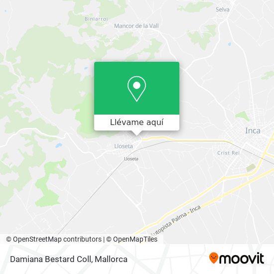 Mapa Damiana Bestard Coll