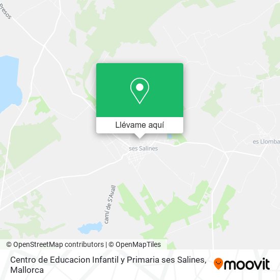 Mapa Centro de Educacion Infantil y Primaria ses Salines