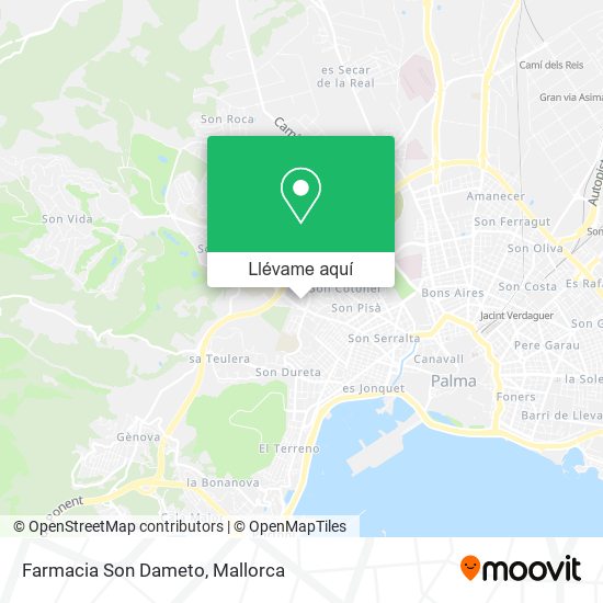 Mapa Farmacia Son Dameto