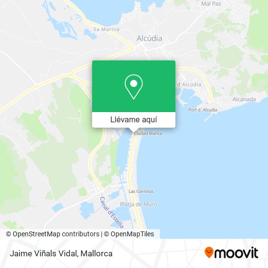 Mapa Jaime Viñals Vidal