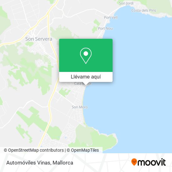 Mapa Automóviles Vinas