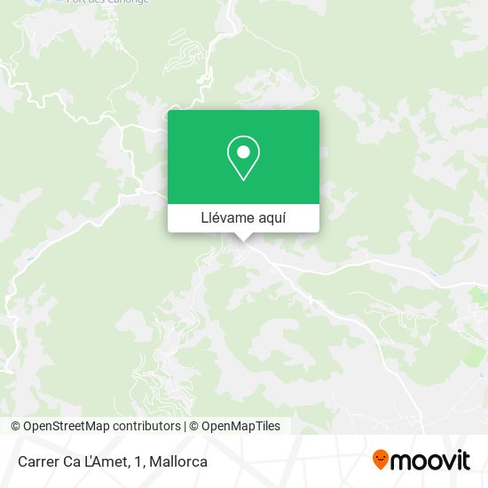 Mapa Carrer Ca L'Amet, 1
