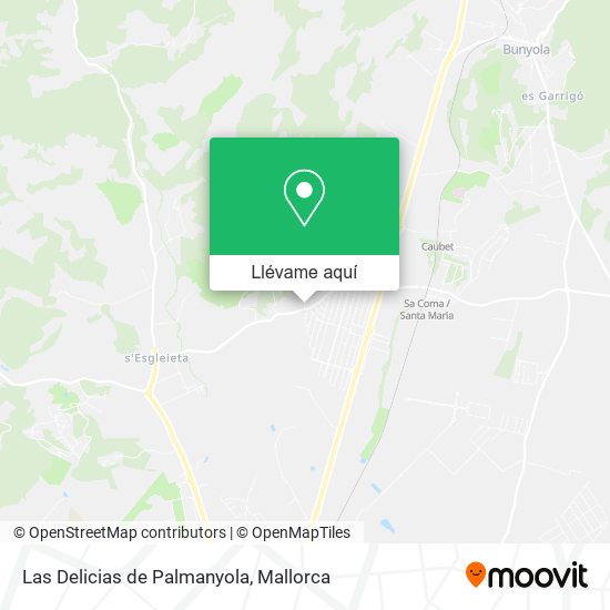 Mapa Las Delicias de Palmanyola