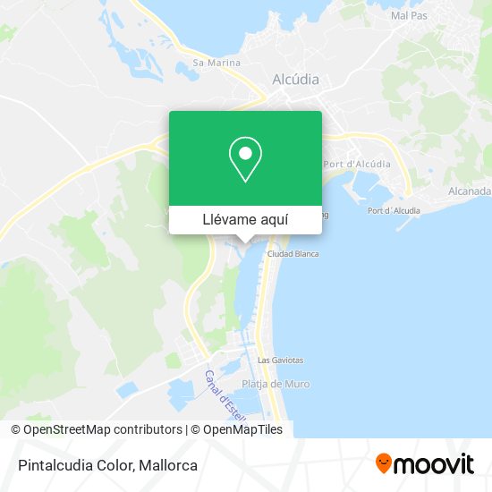 Mapa Pintalcudia Color