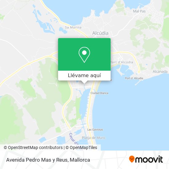 Mapa Avenida Pedro Mas y Reus