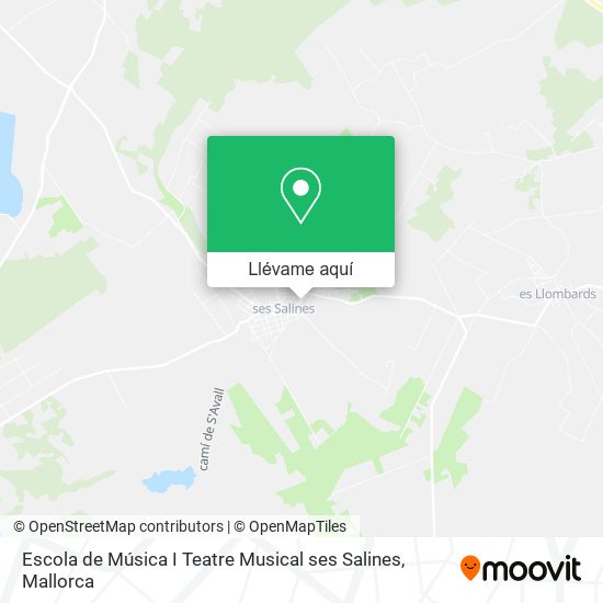 Mapa Escola de Música I Teatre Musical ses Salines