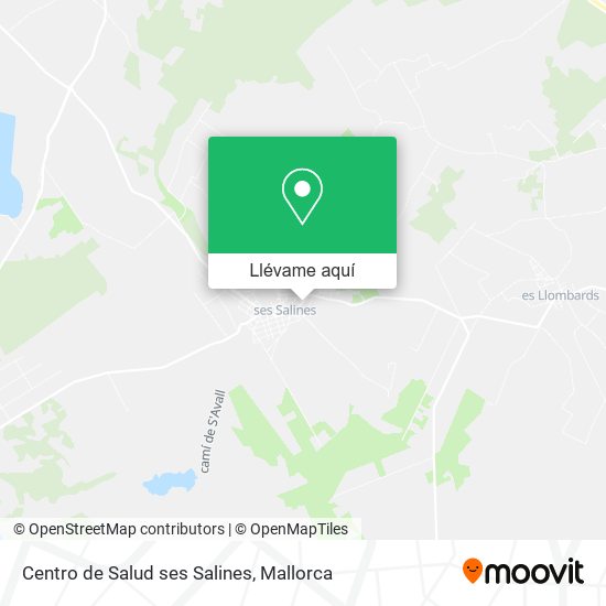 Mapa Centro de Salud ses Salines