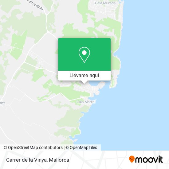 Mapa Carrer de la Vinya