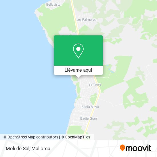 Mapa Molí de Sal
