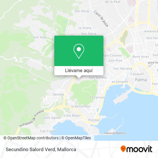 Mapa Secundino Salord Verd