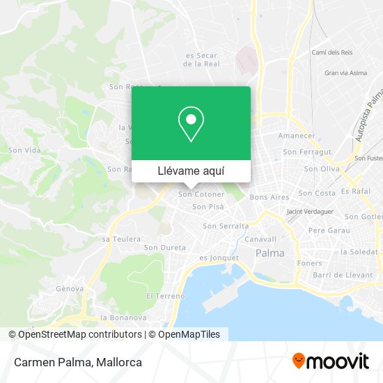 Mapa Carmen Palma