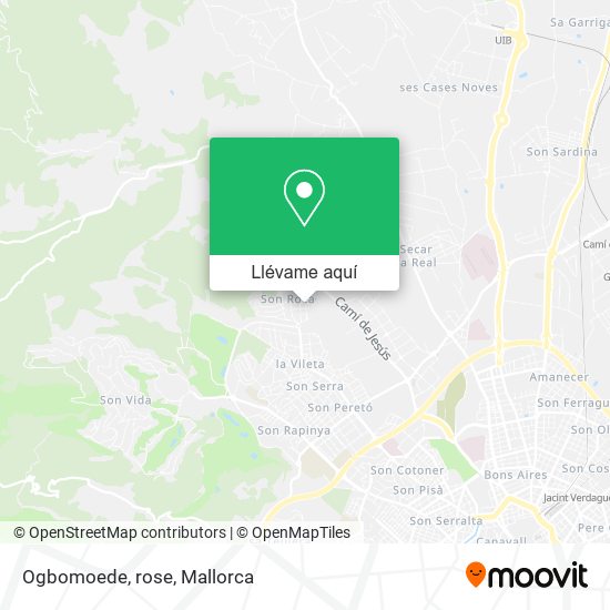 Mapa Ogbomoede, rose
