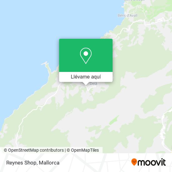 Mapa Reynes Shop