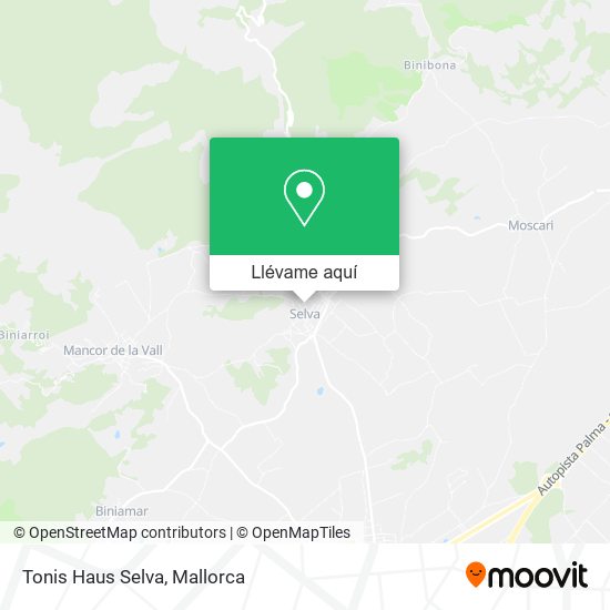 Mapa Tonis Haus Selva
