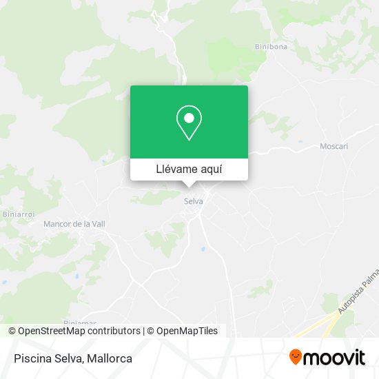 Mapa Piscina Selva