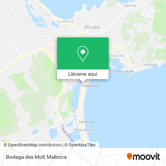 Mapa Bodega des Moll