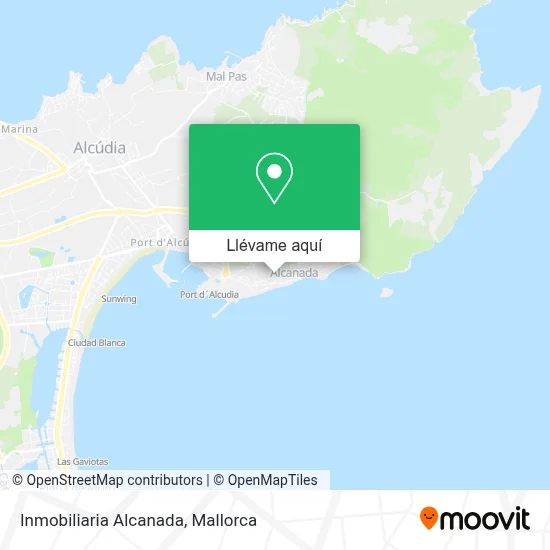 Mapa Inmobiliaria Alcanada