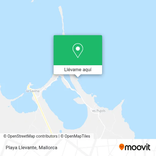 Mapa Playa Llevante