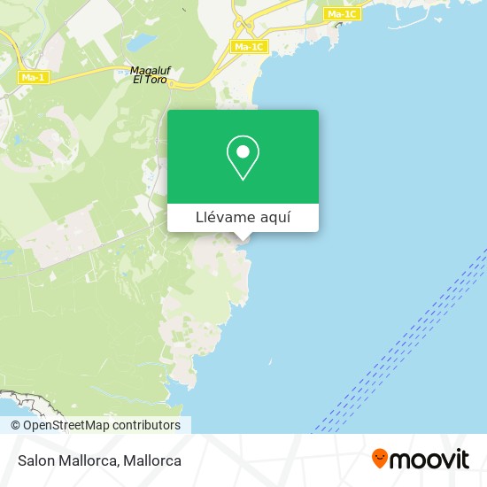 Mapa Salon Mallorca