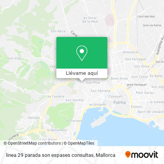 Mapa linea 29 parada son espases consultas