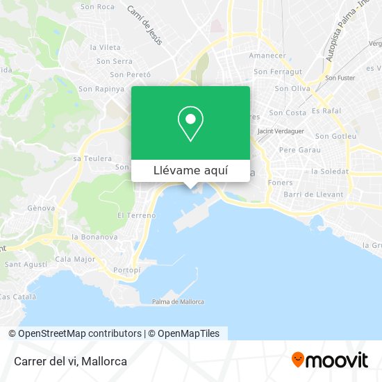 Mapa Carrer del vi