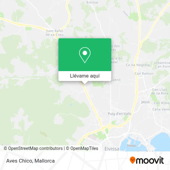 Mapa Aves Chico