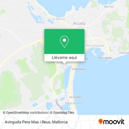 Mapa Avinguda Pere Mas i Reus