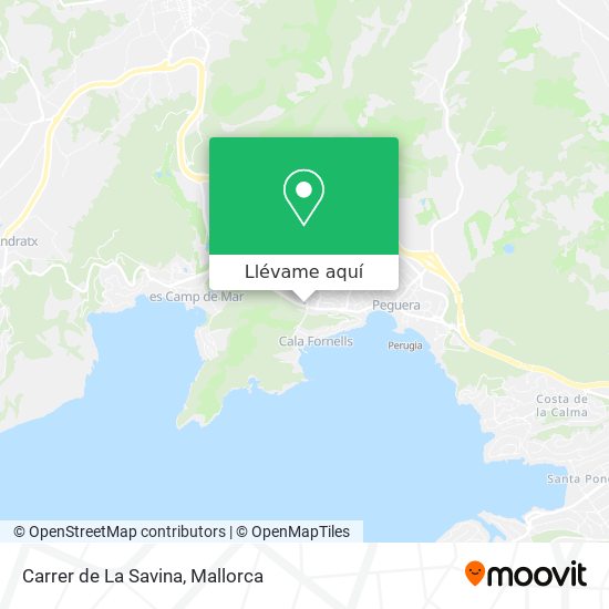 Mapa Carrer de La Savina