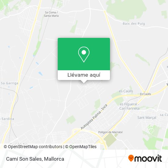 Mapa Camí Son Sales