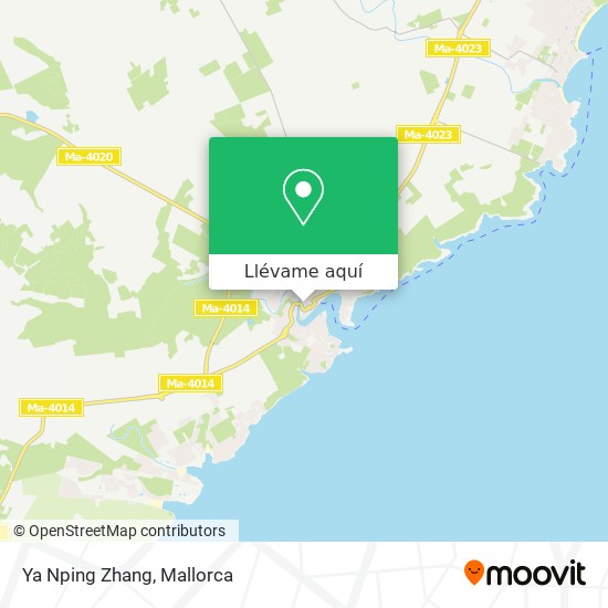 Mapa Ya Nping  Zhang